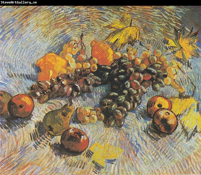 Vincent Van Gogh Stillleben mit Trauben